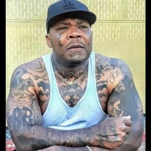 Meet your Posher, Kip